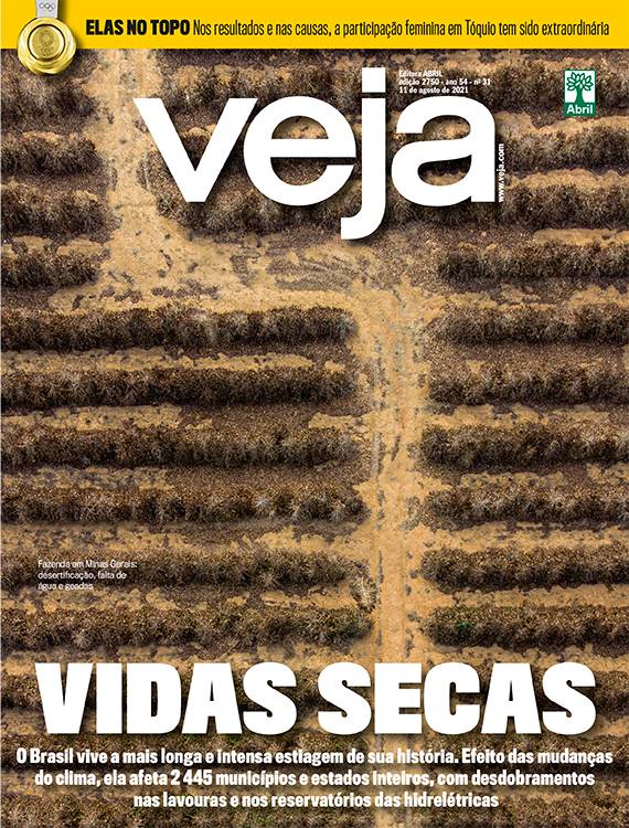 VIDAS SECAS - 11/08/2021