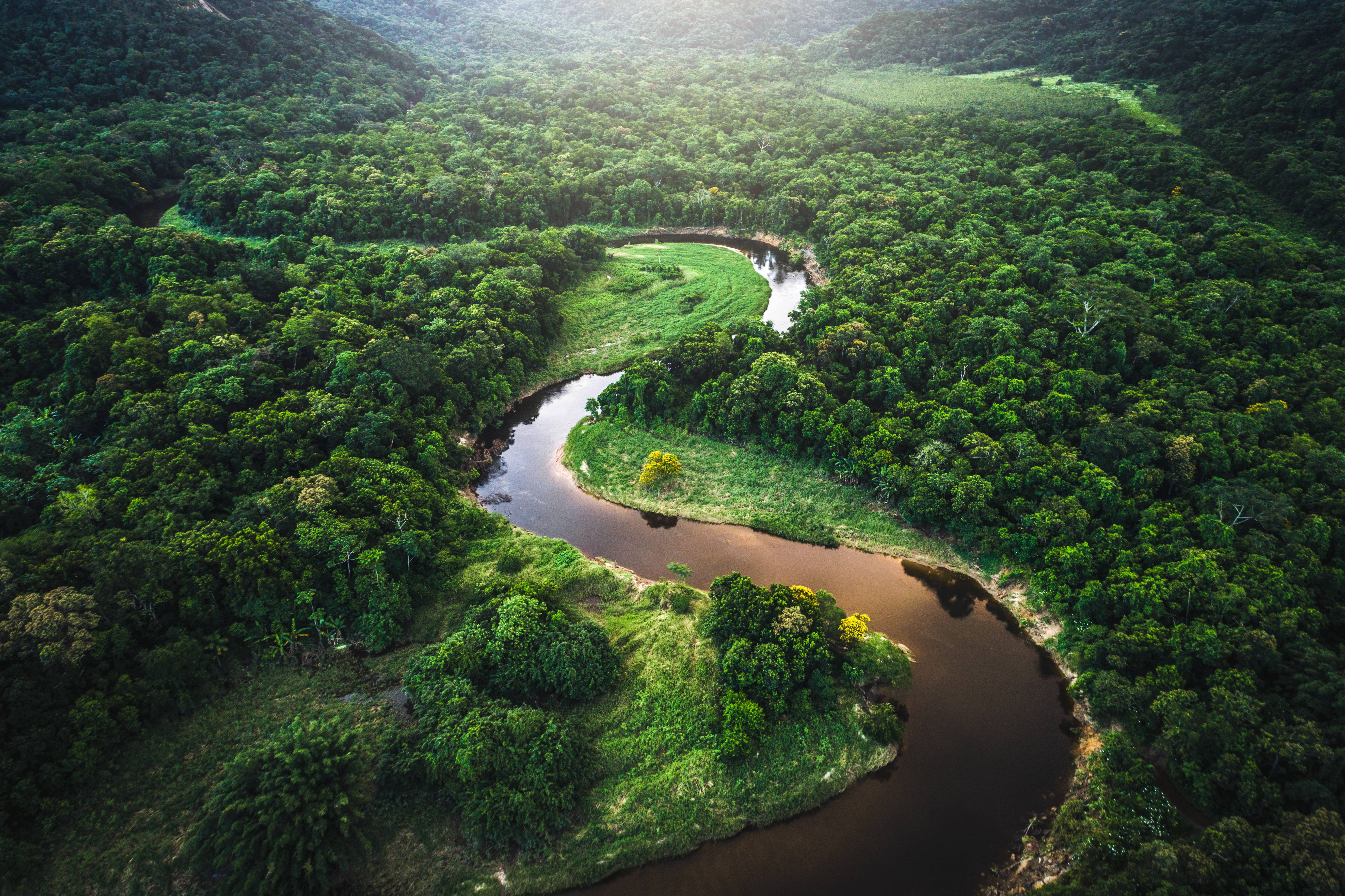 Formação de novas partículas acima do topo das árvores contribui com as chuvas na Amazônia