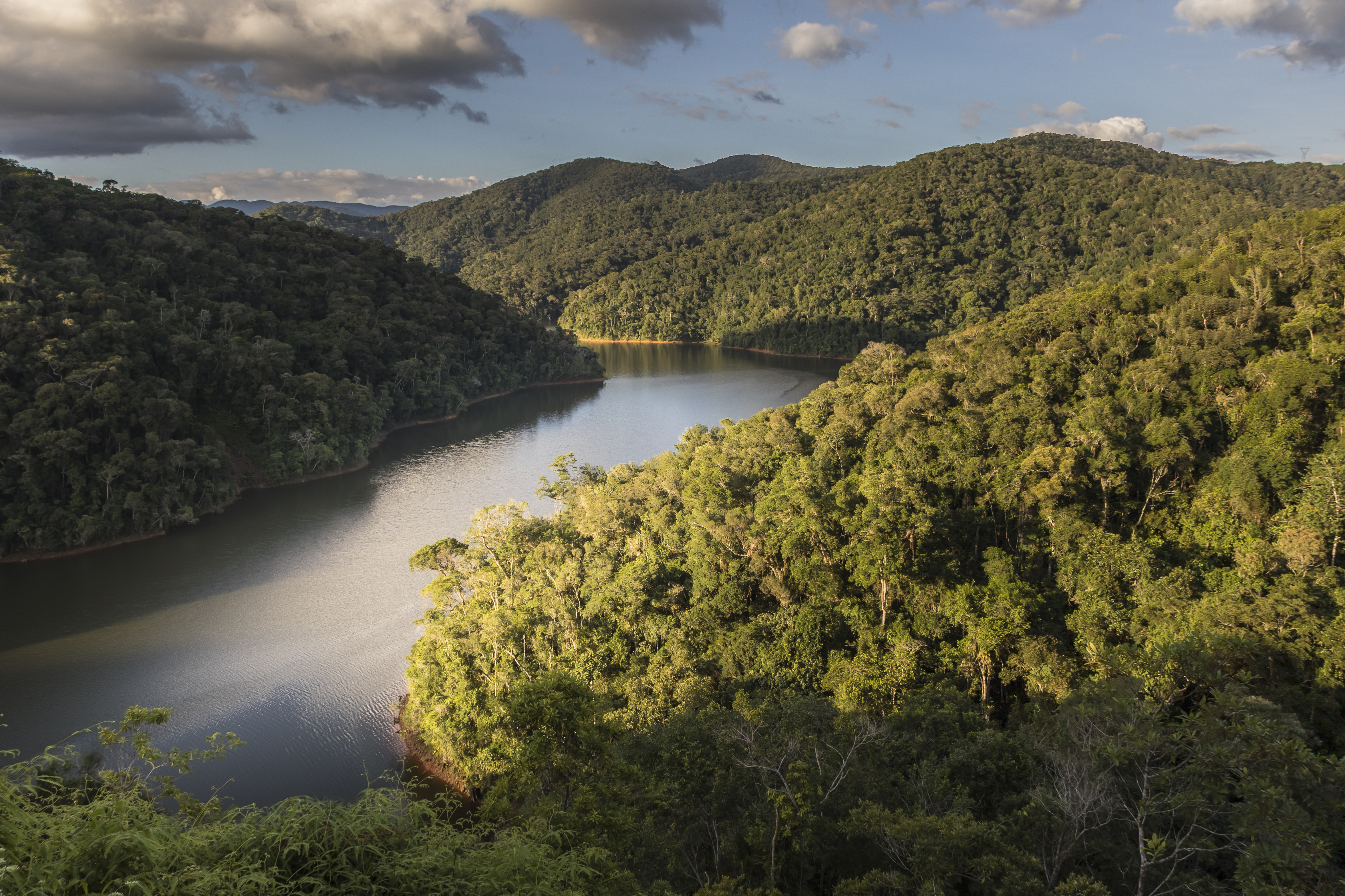 Reserva Guarani vai fixar mais de 50 mil toneladas de CO2 com agrofloresta