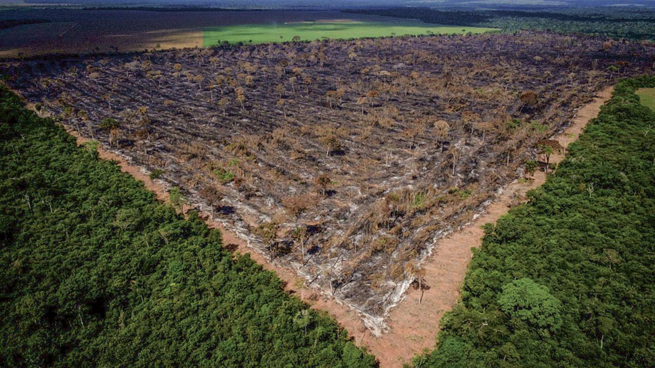 COMBATE À DESTRUIÇÃO - Área desmatada em Mato Grosso: o Brasil deve ser rigoroso ao exigir respeito às leis ambientais -