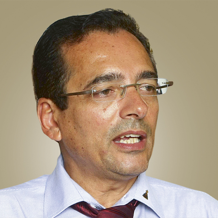 PROTOGENES-QUEIROZ-PC-DO-B-SP-2013-10.jpg Protógenes Queiroz