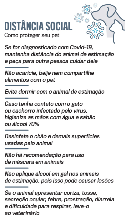 arte pets