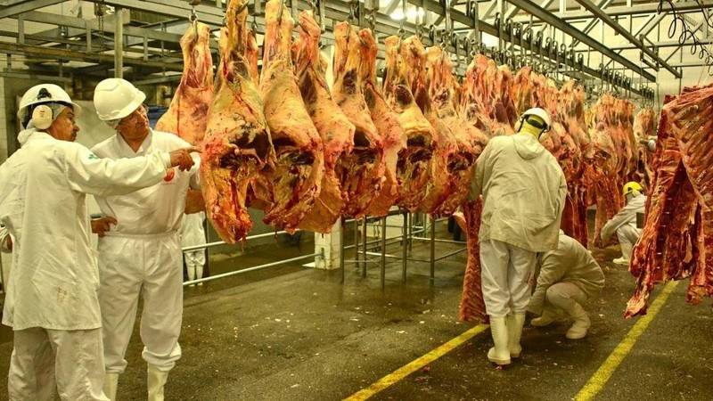 Auditores Fiscais Federais Agropecuários em ação