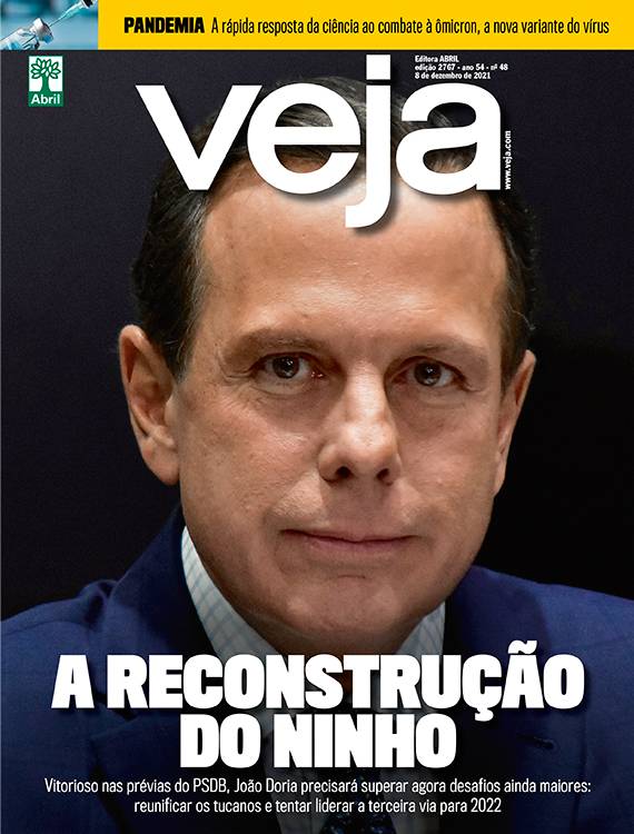 A RECONSTRUÇÃO DO NINHO - 08/12/2021