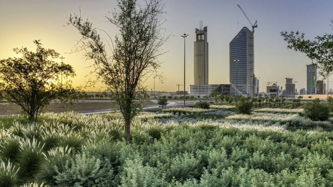 Arborização à beira das estradas faz parte dos esforços para tornar a capital, Riad, em exemplo verde