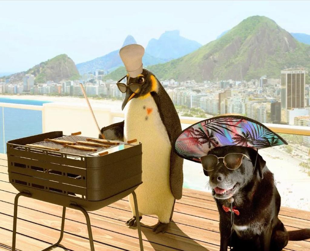 Cachorra praiana que virou meme é ‘garota-propaganda’ de gigante do varejo