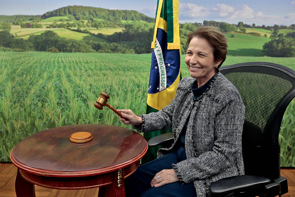 TEREZA CRISTINA-MAPA-MARTELO-2021-023.jpg PLANO B - Tereza: a ministra da Agricultura é cotada como uma das alternativas para compor a chapa com Bolsonaro -