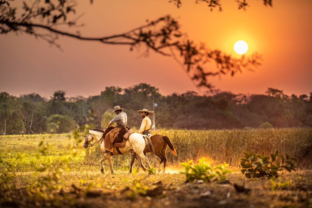 Pantanal .