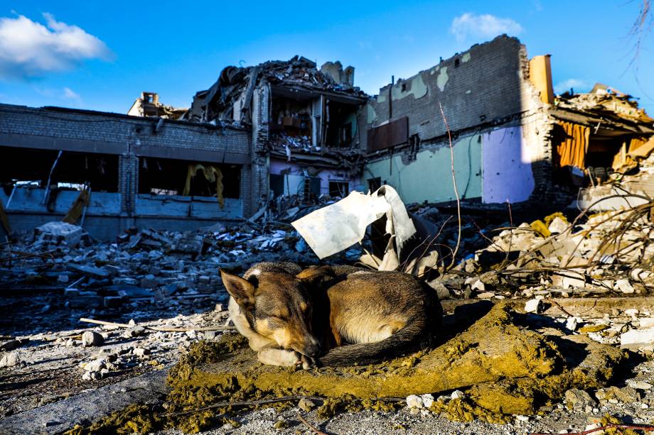 Um cachorro dorme nos escombros do prédio principal da escola destruído após ser bombardeado, em Zhytomyr, na Ucrânia -