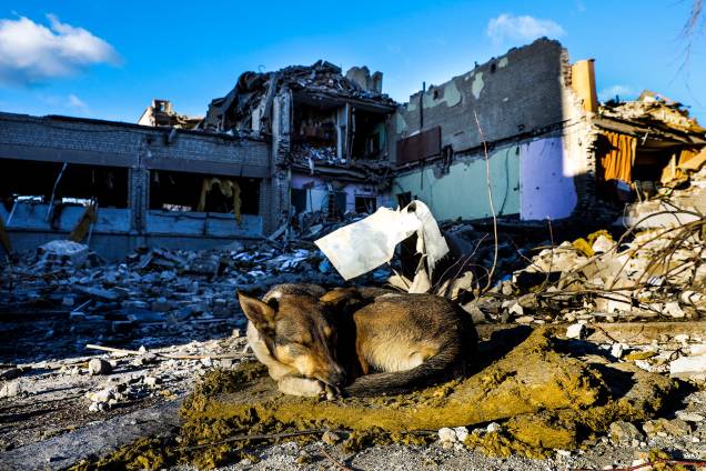 Um cachorro dorme nos escombros do prédio principal da escola destruído após ser bombardeado, em Zhytomyr, na Ucrânia - Um cachorro dorme nos escombros do prédio principal da escola destruído após ser bombardeado, em Zhytomyr, na Ucrânia -