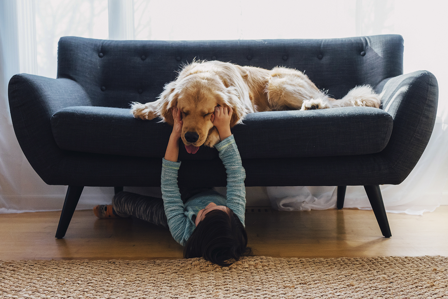 Clonagem de animais de estimação ganha força e faz sucesso nas redes