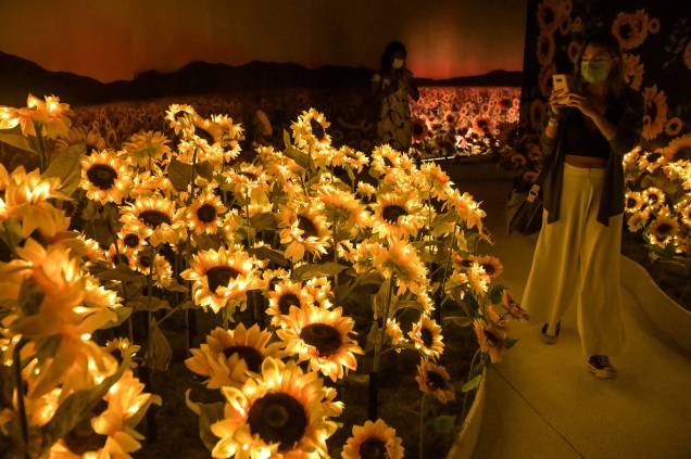 Público acompanha a exposição "Beyond Van Gogh", em São Paulo - Público acompanha a exposição "Beyond Van Gogh", em São Paulo -