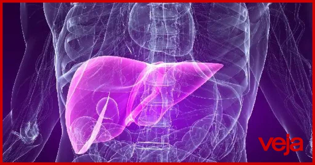 CDC aponta adenovírus como principal hipótese para hepatite em crianças