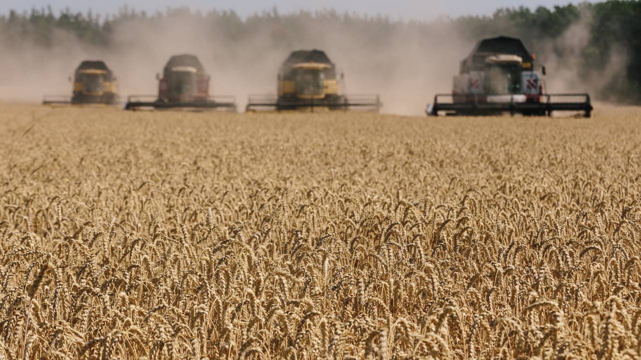 Harvesters in the field. Harvesting combines in the fields of Novovodolazhsky district of Kharkiv region, Ukraine on July 25, 2017. (Photo by Pavlo Pakhomenko/NurPhoto via Getty Images)