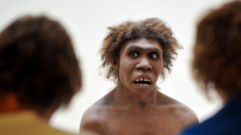 O recém-descoberto papel das mulheres na pré-história