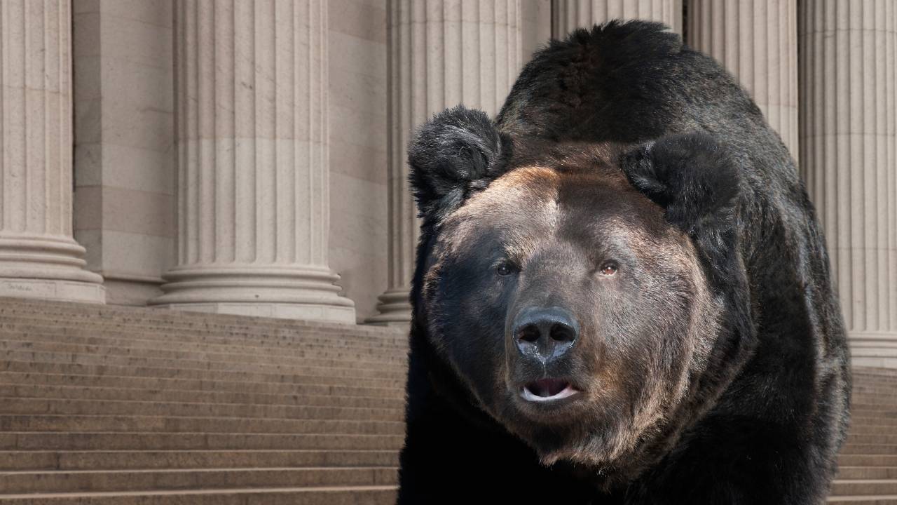 urso
