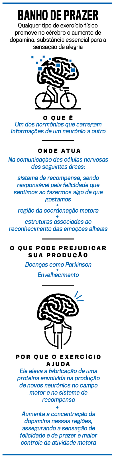 arte exerc&iacute;cios