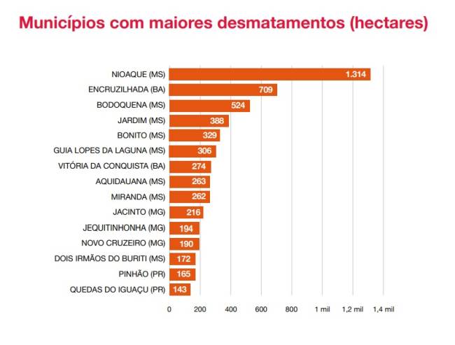 Desmatamento Mata Atlântica As cidades que mais desmataram a Mata Atlântica em 2021
