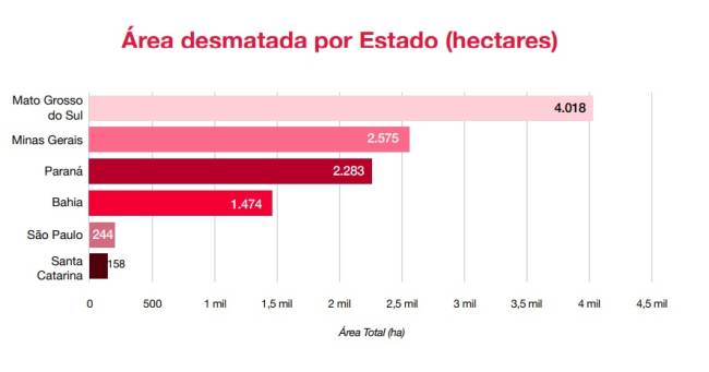 Desmatamento Os estados que mais desmataram a Mata Atlântica em 2021