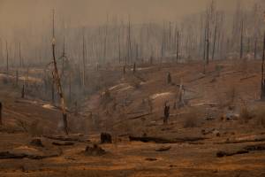 US-ENVIRONMENT-FIRE-OAKFIRE --