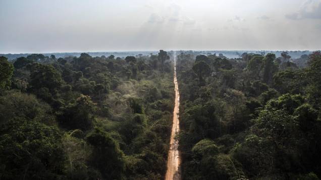 Cena geral da Floresta Amazônica na região de Guariba, estado do Mato Grosso, em 27/08/2019. Cena geral da Floresta Amazônica na região de Guariba, estado do Mato Grosso, em 27/08/2019.