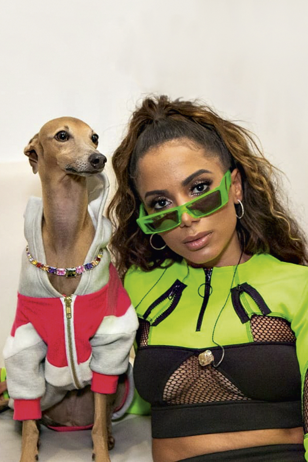 Anita OSTENTAÇÃO - O galgo italiano Plínio ao lado de Anitta: conta no Instagram com mais de 250 000 seguidores -
