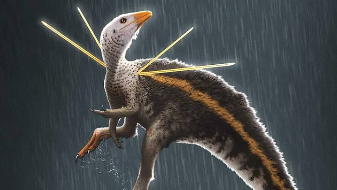 UBIRAJARA - Representação do dinossauro e o fóssil (no círculo): de volta para casa após trinta anos -
