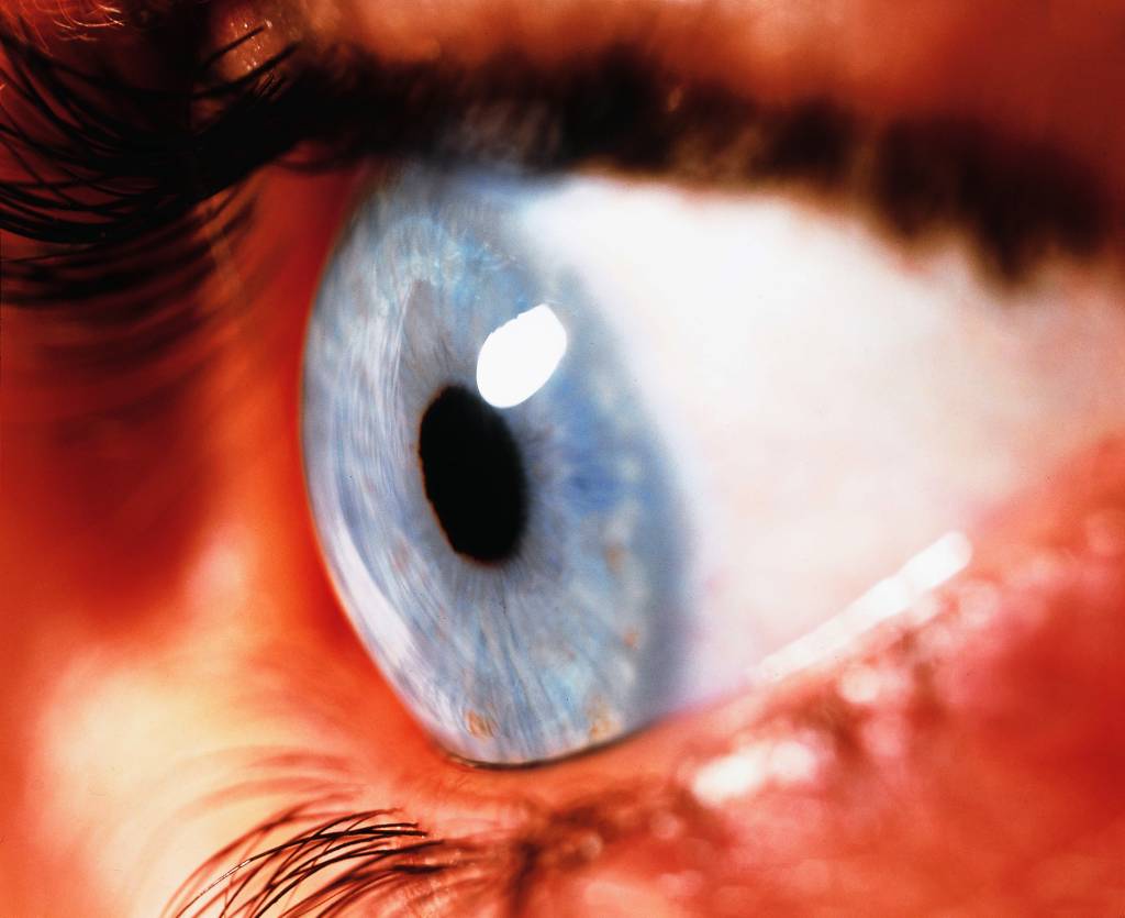 Os olhos realmente podem ser uma janela, mas para o cérebro