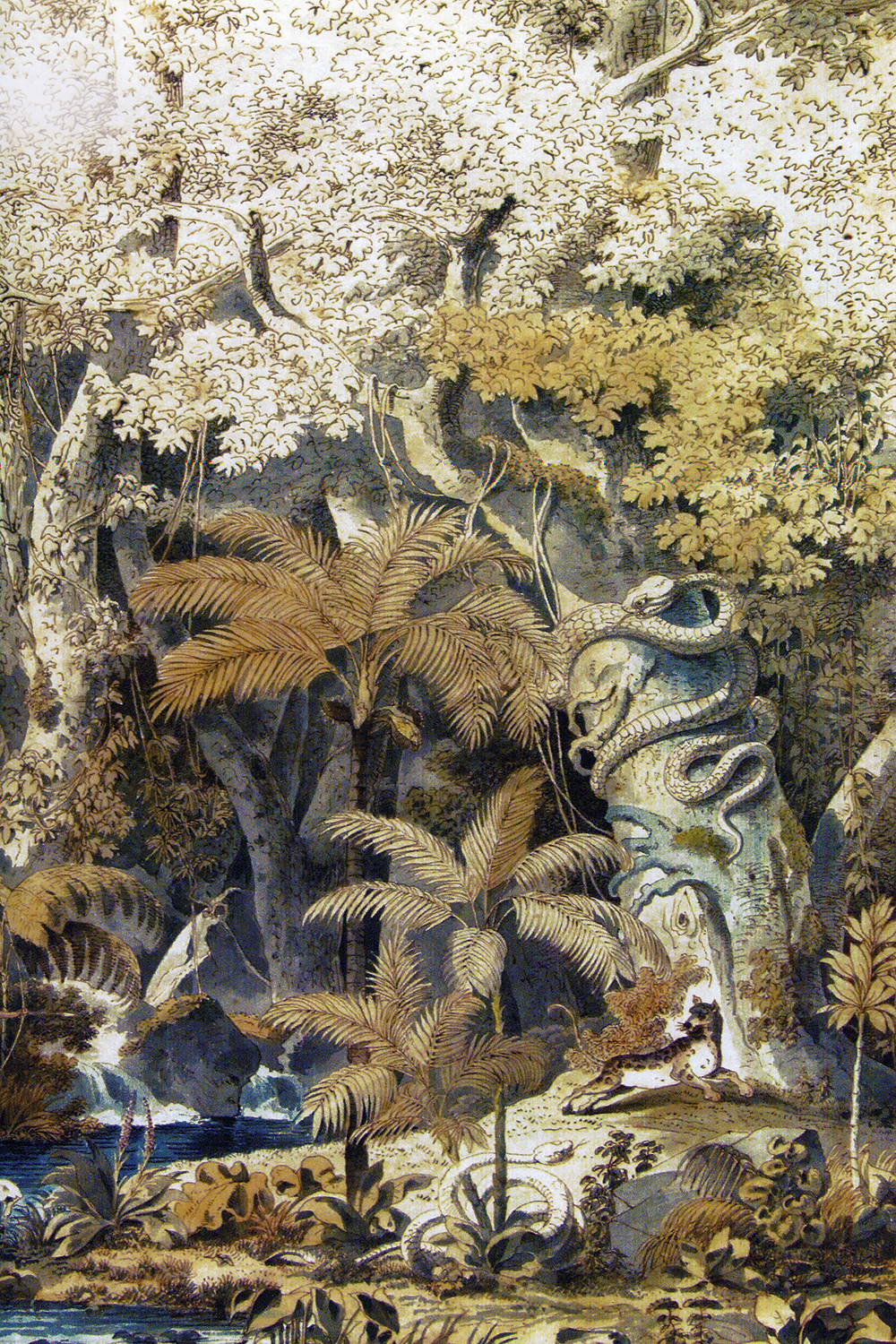 CARL-FRIEDRICH-PHILIPP-MARTIUS-BRASILIANA-FLORESTA-PAG61.jpg EXUBERÂNCIA - Pintura feita por Martius: riqueza impressionante de detalhes revela as belezas do país tropical -
