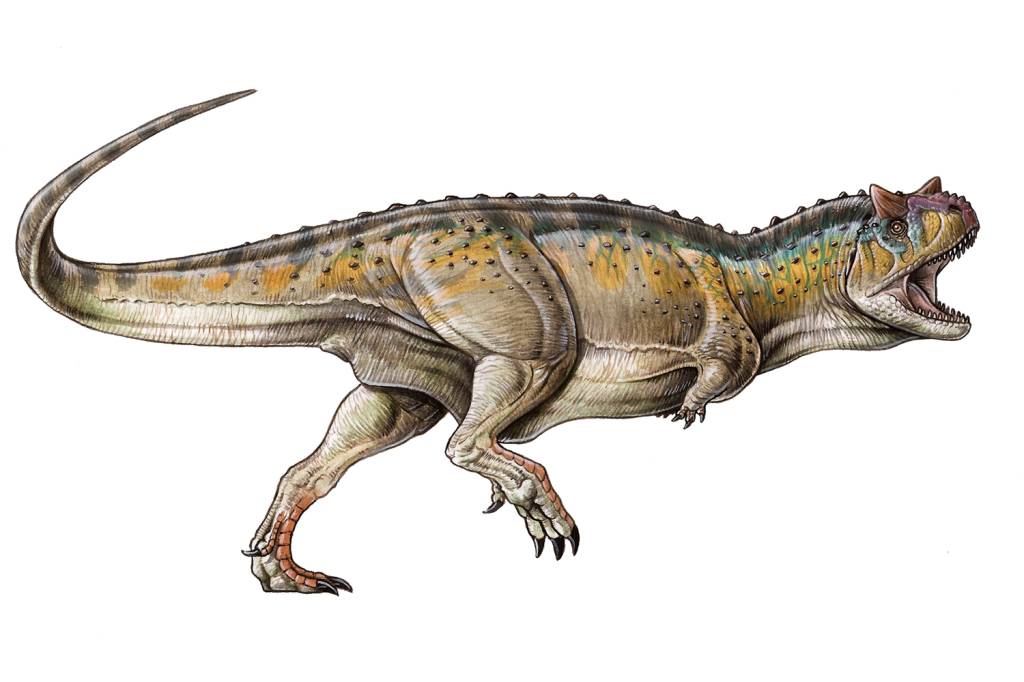 Carnotaurus-sastrei 'Carnotaurus sastrei' -