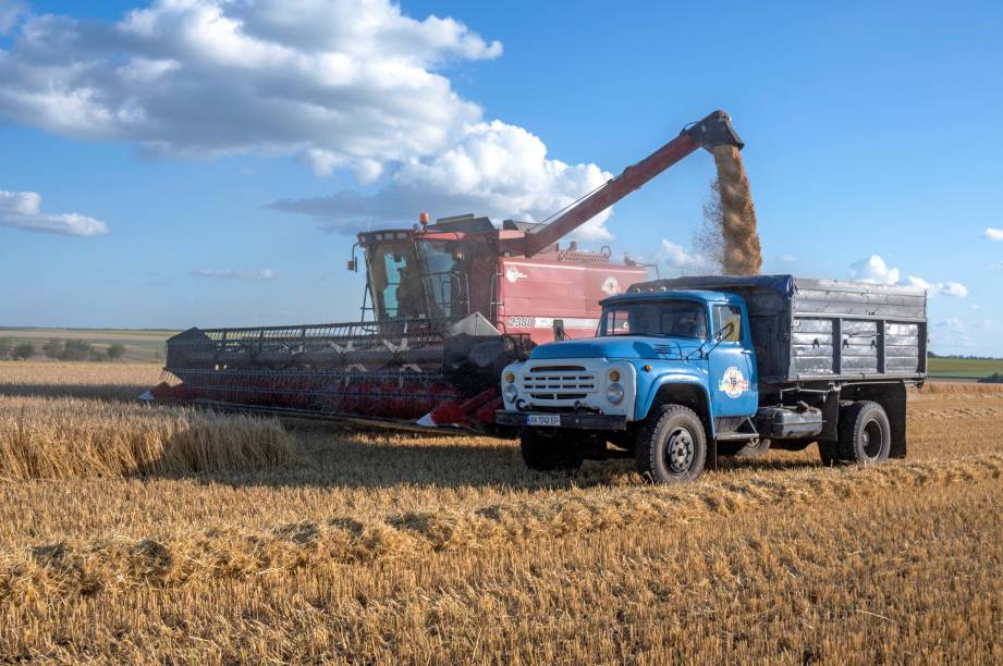 Agricultores colhem cevada em um campo na região ucraniana de Kharkiv, em 18/07/ 2022.