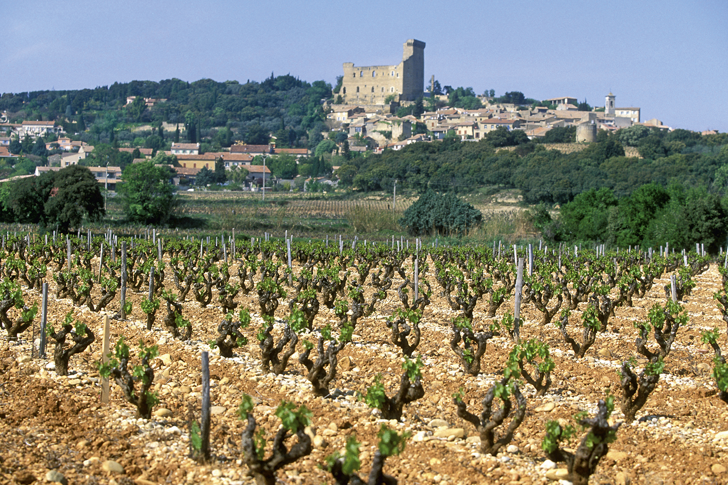 ORIGEM -&ensp;Ch&acirc;teauneuf-du-Pape, em Avignon: os vinhedos como base dos produtos -