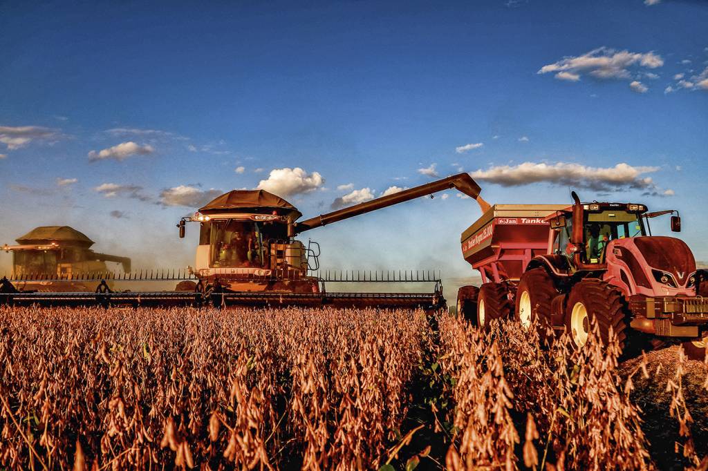 Produtores rurais denunciam esquema para fraudar posse de terras no Piauí