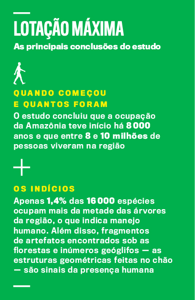 arte Amaz&ocirc;nia