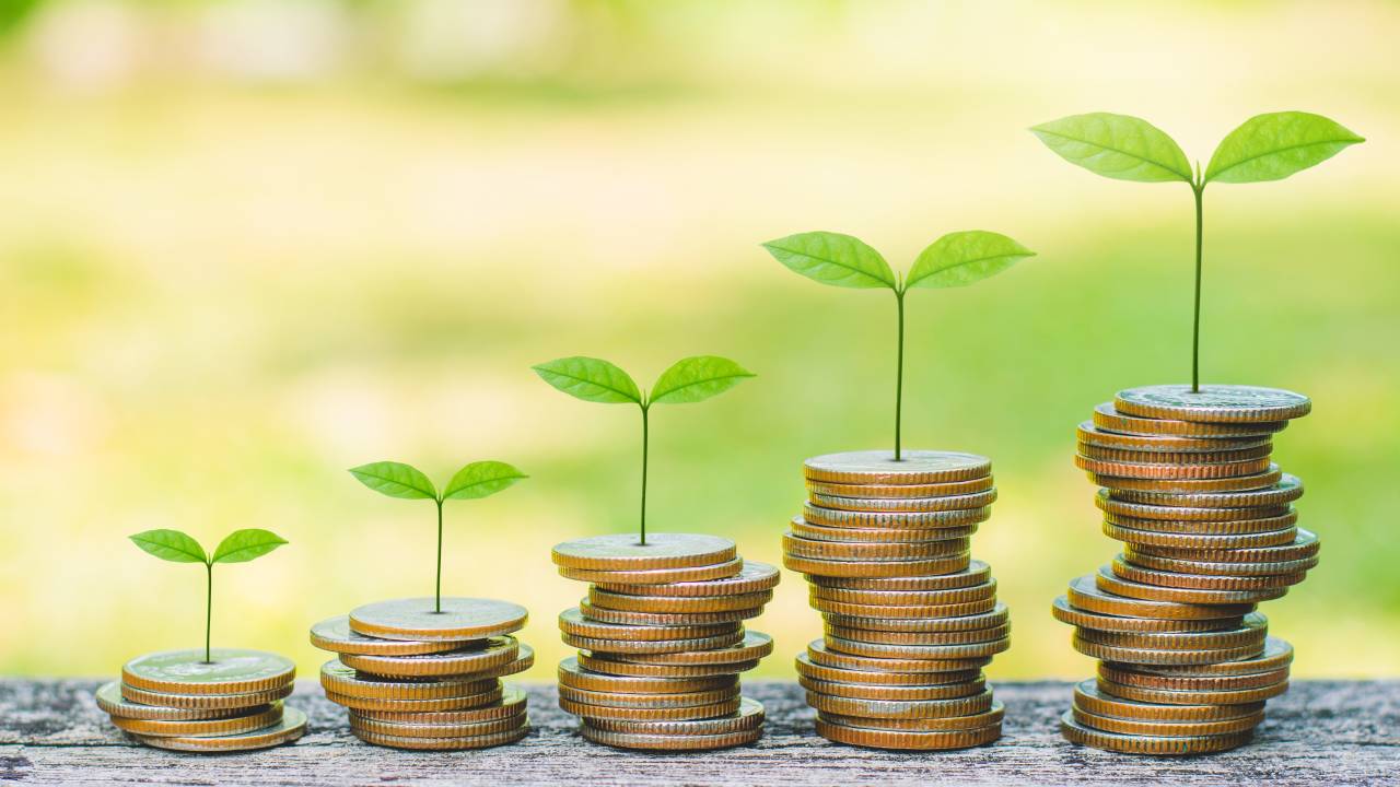 green plant leaves growing on coin stacking money saving business finance success wealth investment budget concept. stack coin on wood table with green blur background.