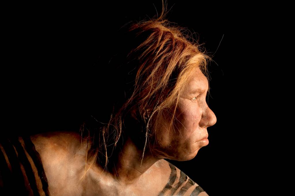 Neanderthal Female EM FAMÍLIA - Neandertal: relações de parentesco descobertas pelo DNA -