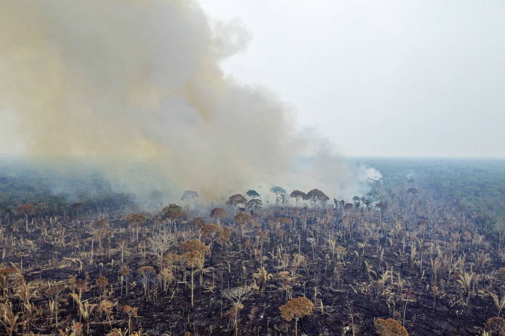 000_32JM3RT.jpg PLANO - A Amazônia: economia sustentável para barrar a destruição da floresta -