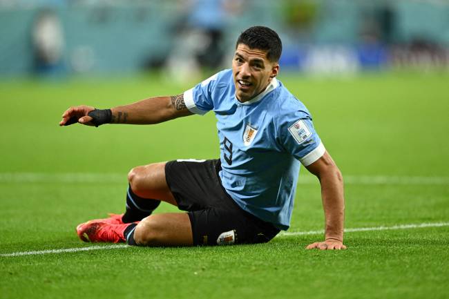 FBL-WC-2022-MATCH14-URU-KOR Uruguay's forward #09 Luis Suarez picks himself up during the Qatar 2022 World Cup Group H football match between Uruguay and South Korea at the Education City Stadium in Al-Rayyan, west of Doha on November 24, 2022. (Photo by Jewel SAMAD / AFP)