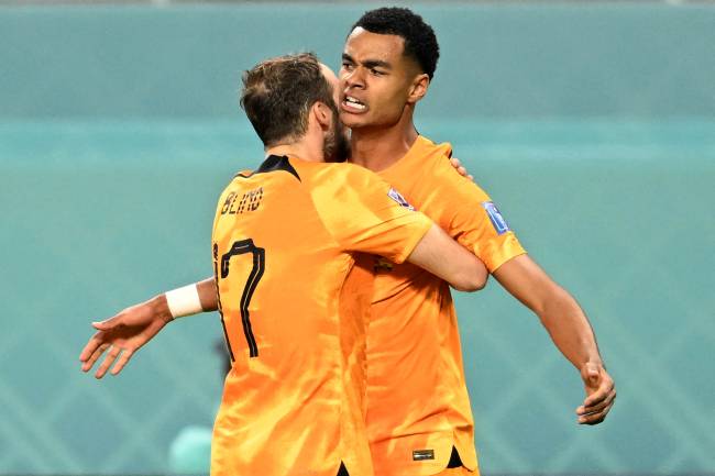 FBL-WC-2022-MATCH19-NED-ECU Gakpo abriu o placar para os holandeses -