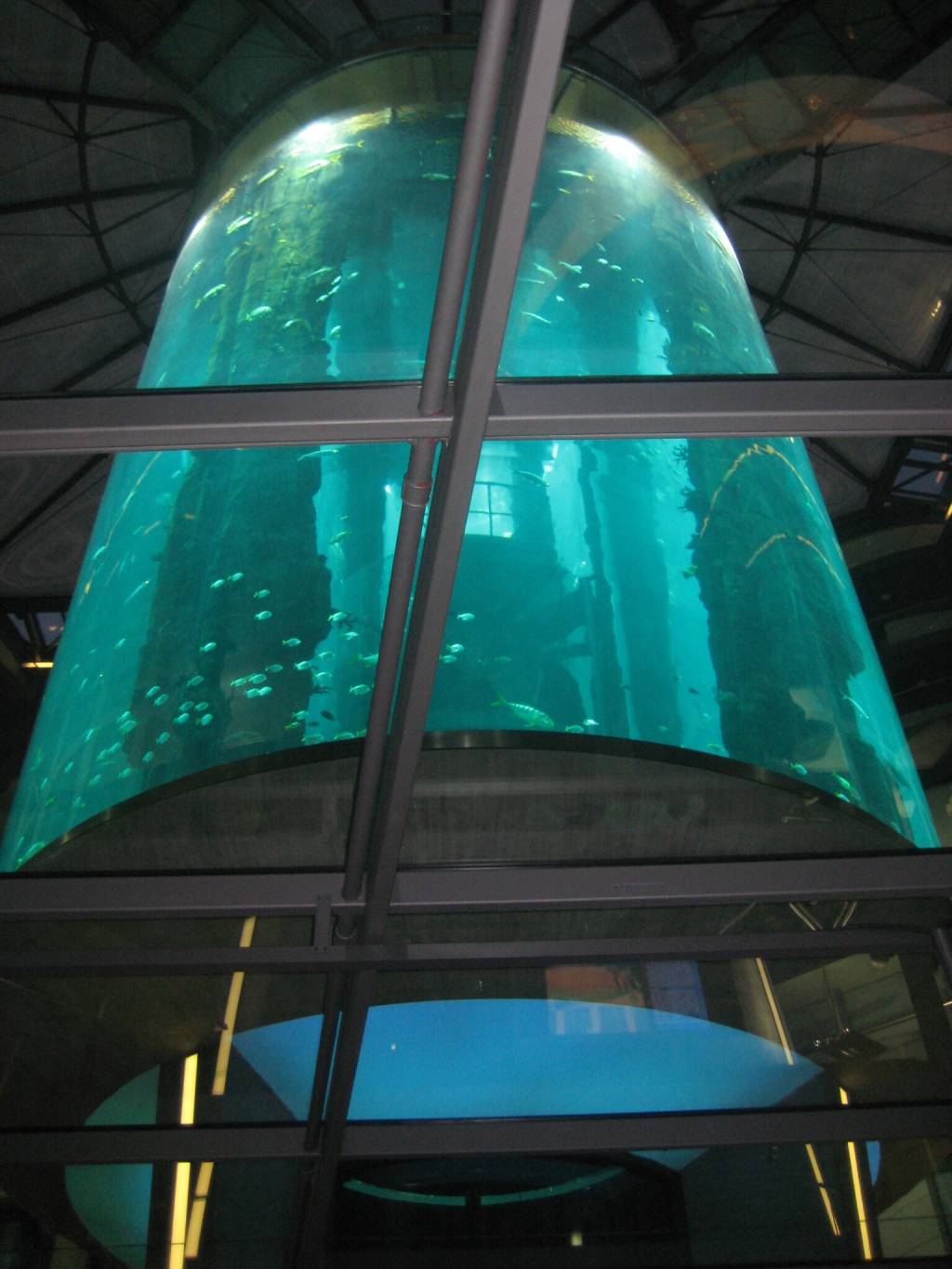 Giant aquarium explodes in Berlinâs luxury hotel Giant aquarium explodes in Berlinâs luxury hotel