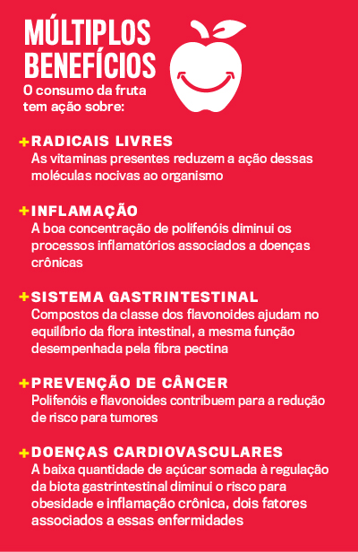 arte ma&ccedil;&atilde;