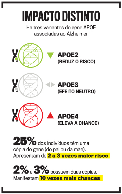 arte gen&eacute;tica