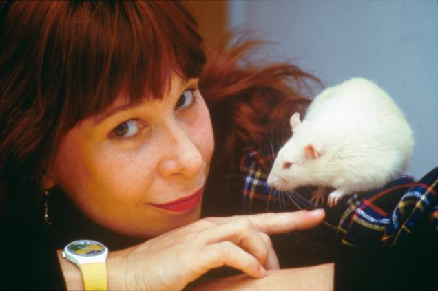 Rita Lee em 1986 - Rita Lee em 1986 -