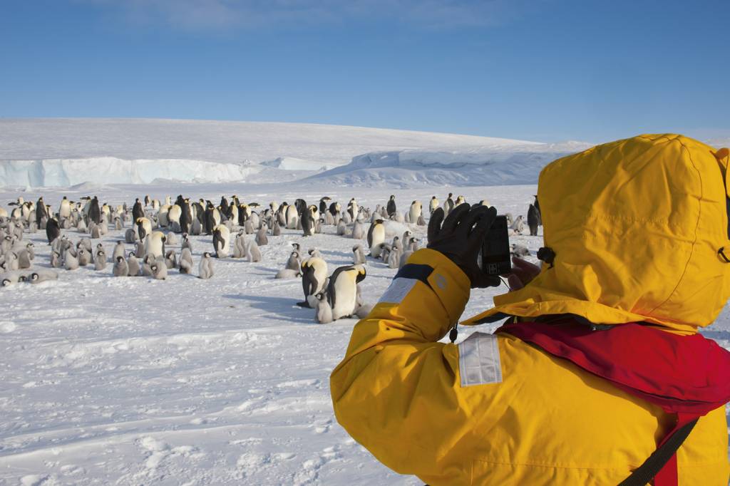 GettyImages-453108802.jpg VIDA SELVAGEM - Viajante fotografa pinguins: risco para espécies locais