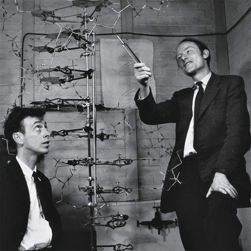 Foto PAPELÃO - Francis Crick (à dir.) e James Watson: falso reconhecimento