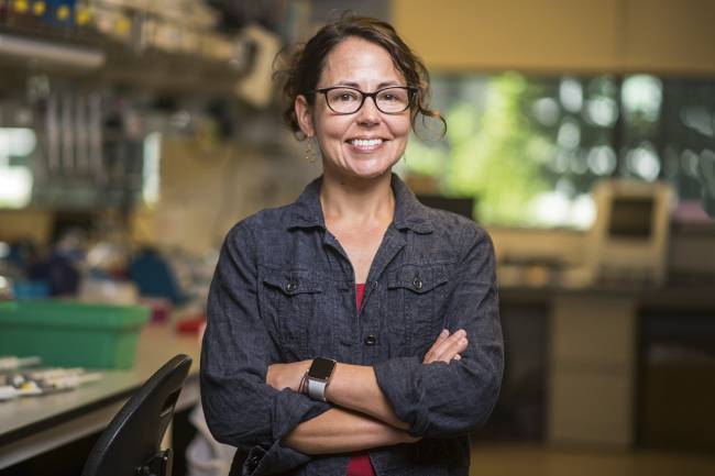 REFERÊNCIA - A pesquisadora em seu laboratório: uma das maiores especialistas em biologia evolutiva do mundo