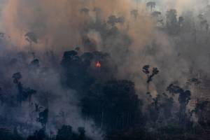 Incêndio na região de Jamari, próximo a Porto Velho, Rondônia: fumaça tóxica afeta diretamente São Paulo Incêndio na região de Jamari, próximo a Porto Velho, Rondônia: fumaça tóxica afeta diretamente São Paulo