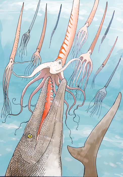 No Marrocos, cientistas descobrem fóssil com dentes tipo ‘chave Philips’