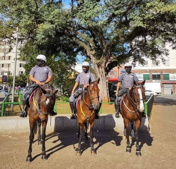 Agentes do Regimento de Polícia Montada da PM-SP