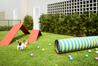 Circuito sob medida para cachorros em prédio